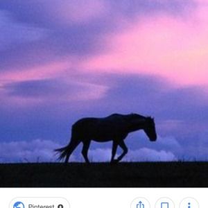 Meet your Posher, Ilja